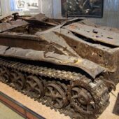  Sproing Pics (37/123)